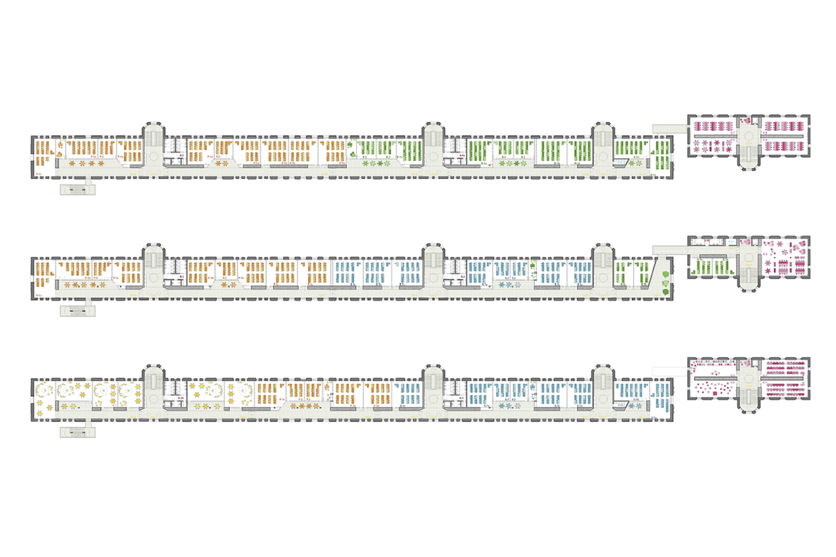 Seminario Moncada colegio CEU Orts-Trullenque arquitectos