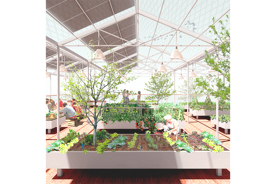 viviendas públicas protegidas tendetes valencia concurso orts-trullenque